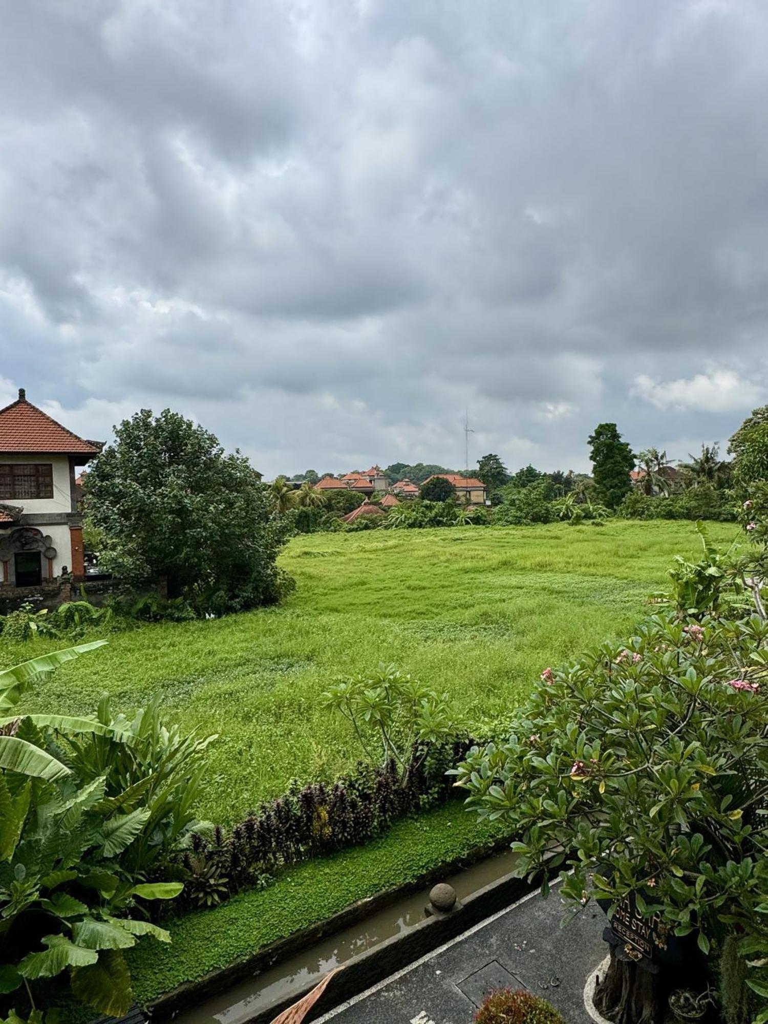 Danasari Homestay Ubud  Ngoại thất bức ảnh