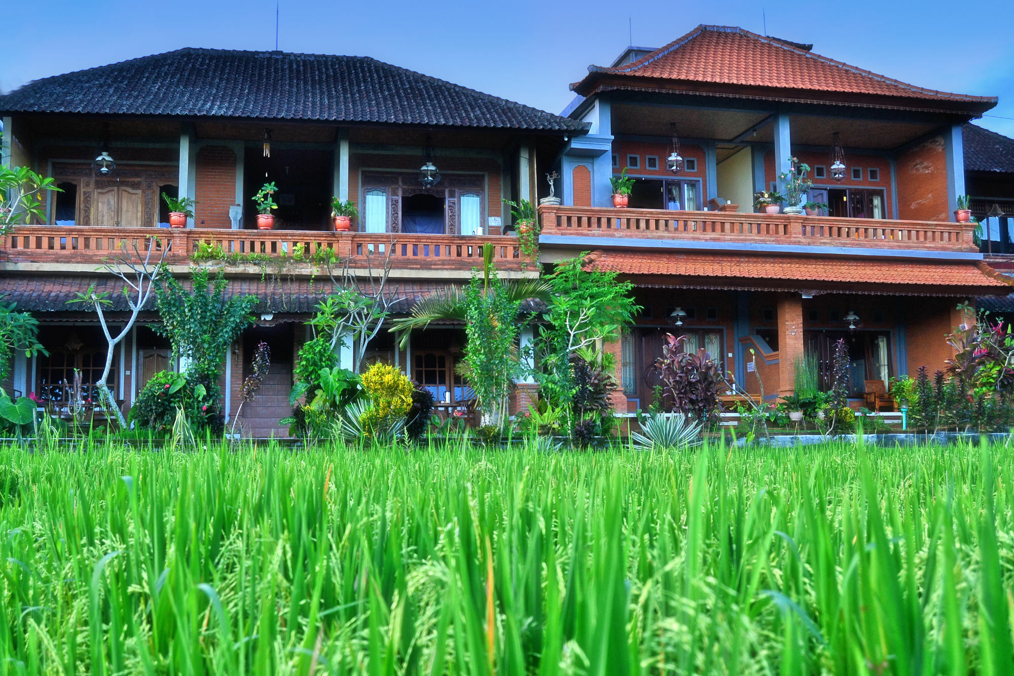 Danasari Homestay Ubud  Ngoại thất bức ảnh