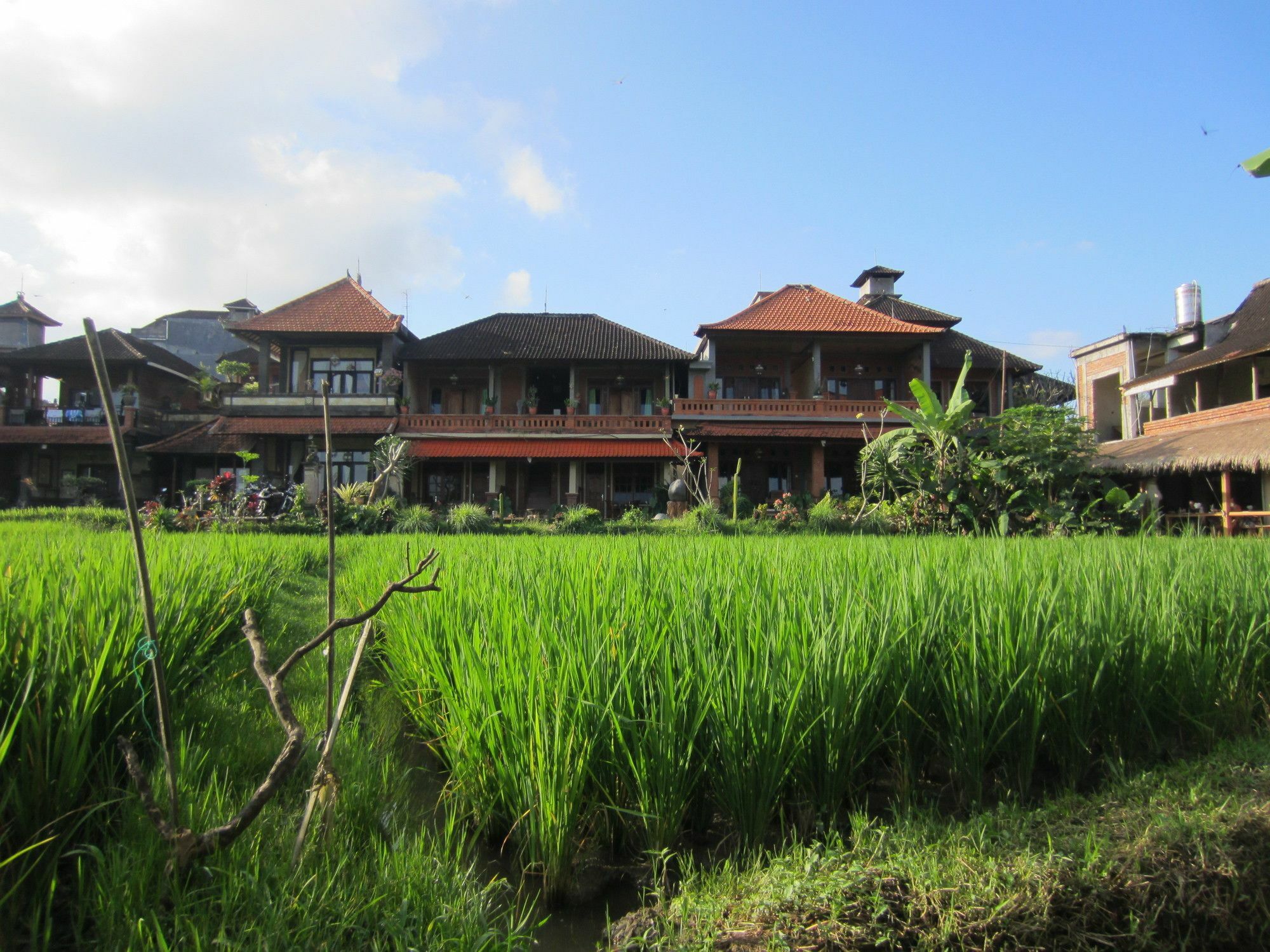 Danasari Homestay Ubud  Ngoại thất bức ảnh